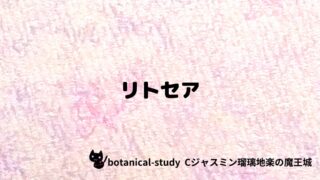 リトセア:プチ辞典クイズ