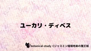 ユーカリ・ディベス：プチ辞典クイズ