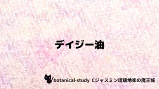 デイジー油：プチ辞典クイズ