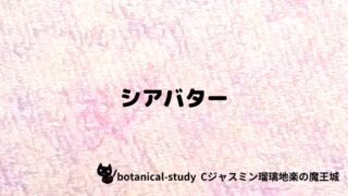 シアバター：プチ辞典クイズ