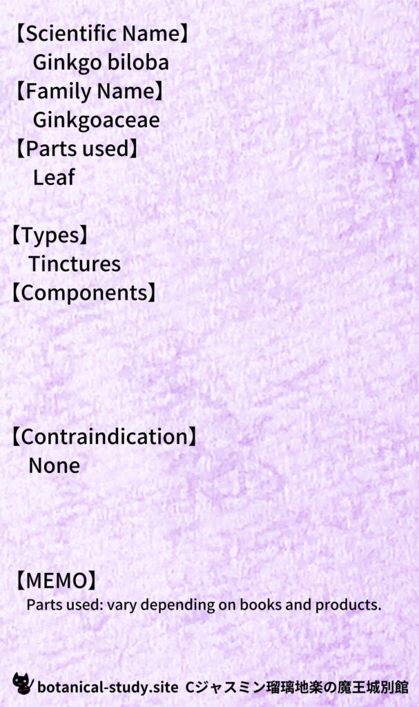ginkgo-tincture-ギンコチンキ剤@botanical-study.site