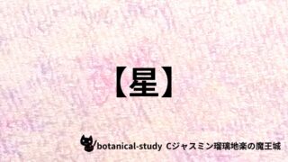 00965【星座】「土星」と縁が深いという説がある精油