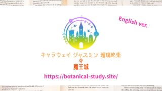 Aromatherapy and Herbal Study GuideSupport site for studying for medical aroma and medical herb qualifications and using essential oils safely