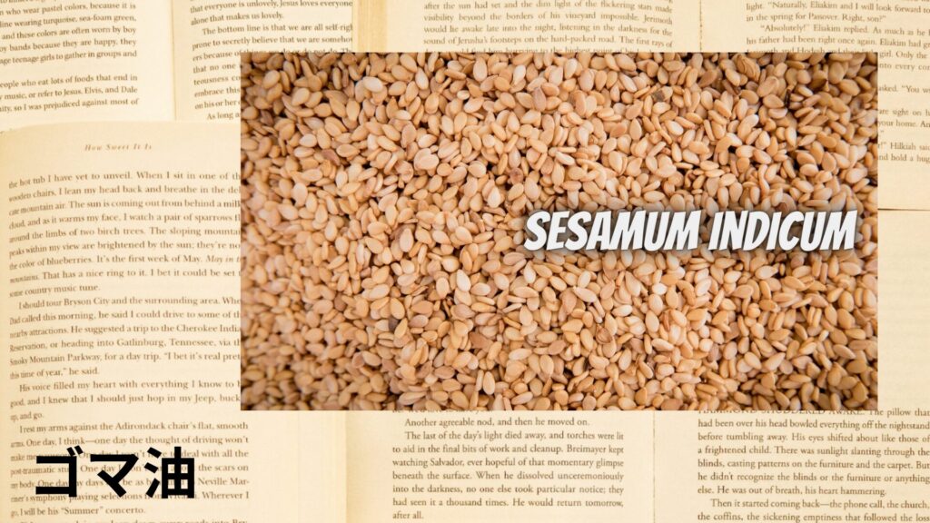 【別館画像】sesame Oil-ゴマ油/ハーブ/アイキャッチ＠botanical-study.site