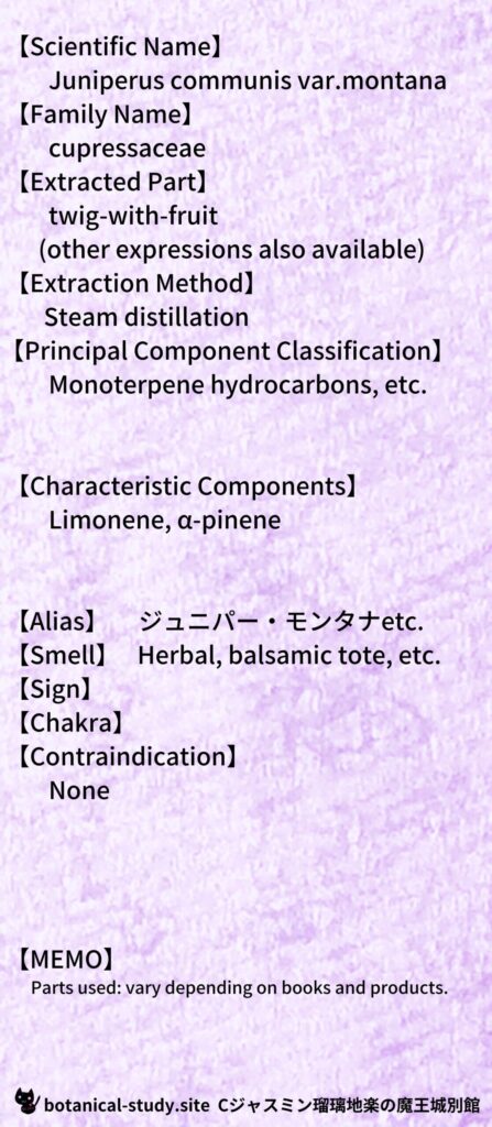 【別館画像】juniper-montana-ジュニパー・モンタナ/アイキャッチ＠botanical-study.site