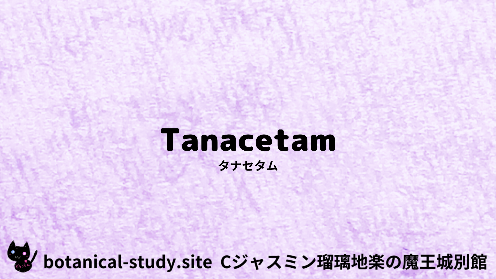 Tanacetam：Mini Dictionary Quiz　タナセタム